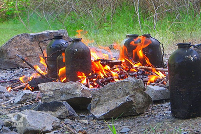 آشپزی در طبیعت