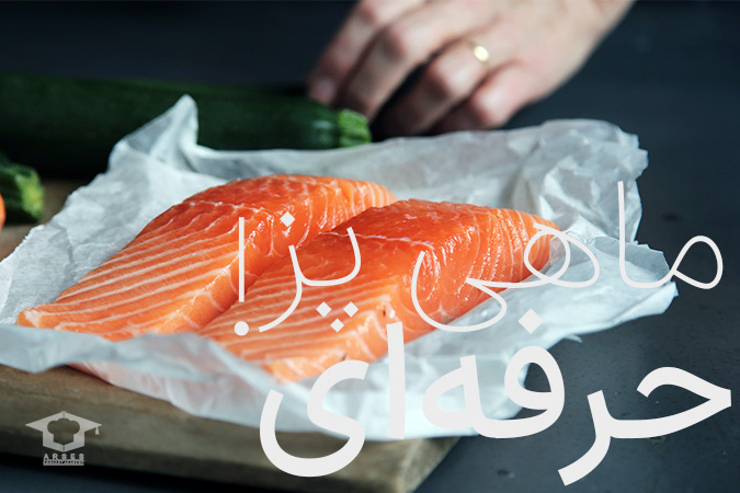 ماهی حرفه ای
