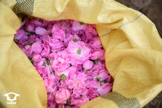 ترفند استفاده از گل محمدی برای خوشبو شدن غذا