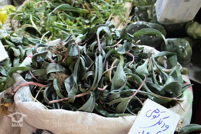 والک کوهی