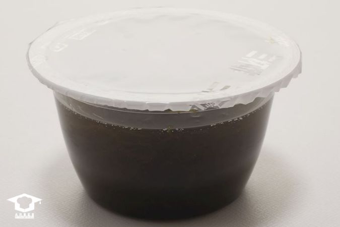 سانبایزو ژاپن