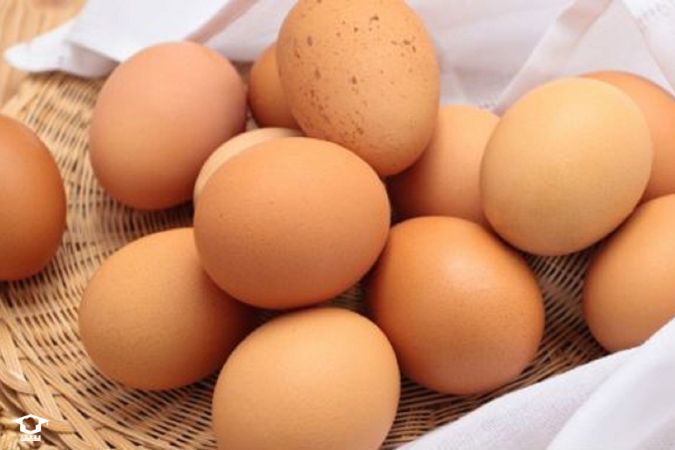 استفاده از تخم مرغ