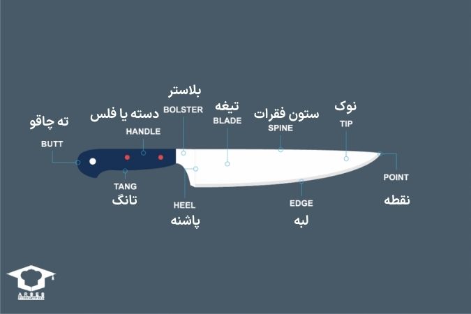 آناتومی قسمتهای چاقوی آشپزخانه