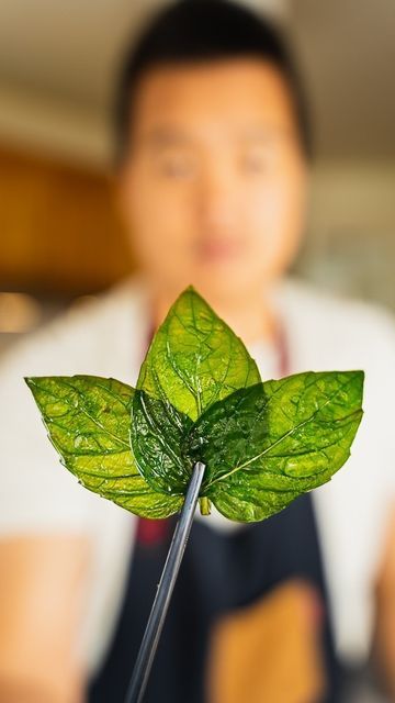 چیپس سبزیجات