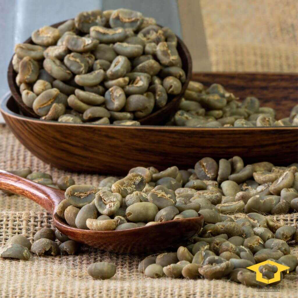 معرفی بهترین میکس و ترکیب قهوه عربیکا و روبوستا