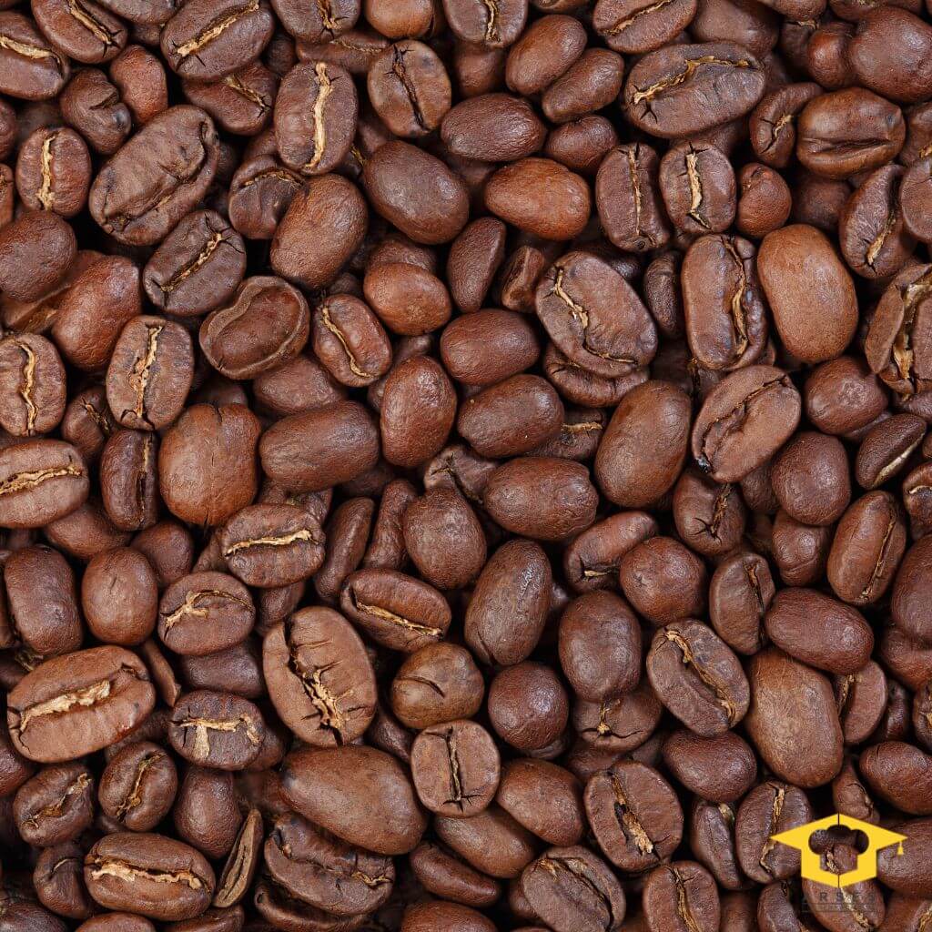 قهوه عربیکا چیست؟ آشنایی با انواع دانه قهوه عربیکا