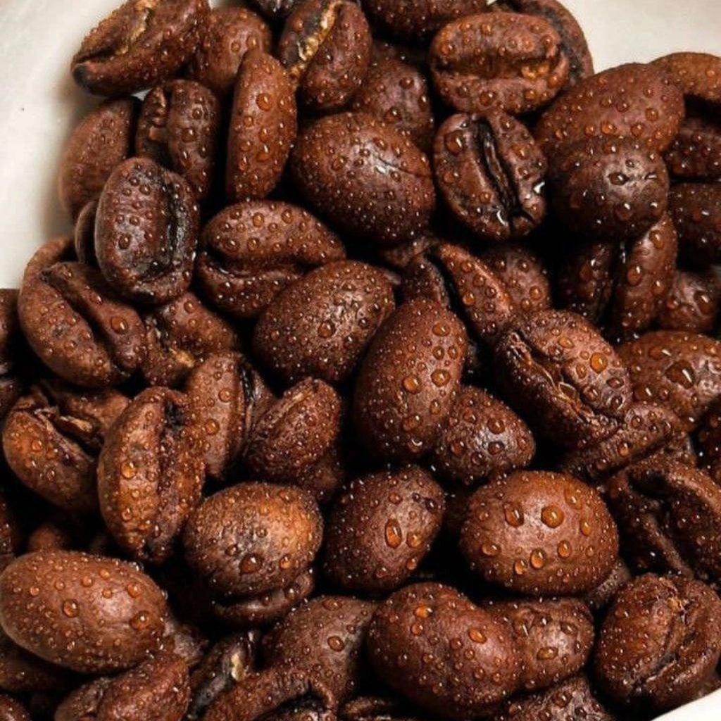 قهوه روبوستا چیست؟ تفاوت با عربیکا و نقش آن در اسپرسو