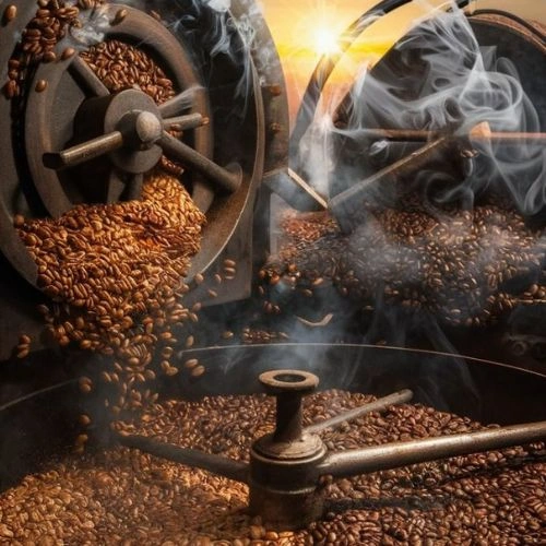 انواع روش‌های دیکف‌سازی قهوه؛ قهوه بدون کافئین چگونه تولید می‌شود؟